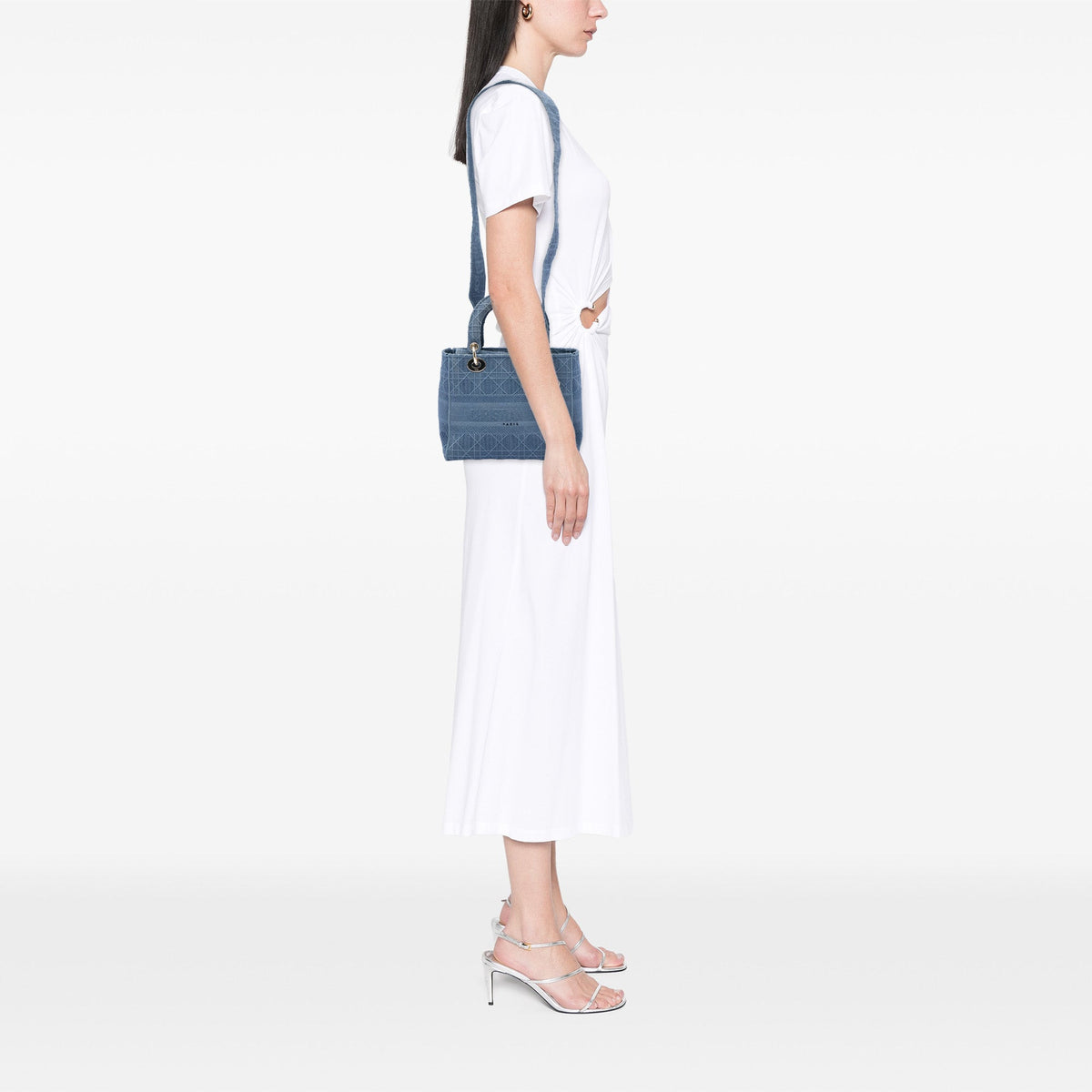 Dior Medium Embroidered Canvas Cannage Lady D Lite