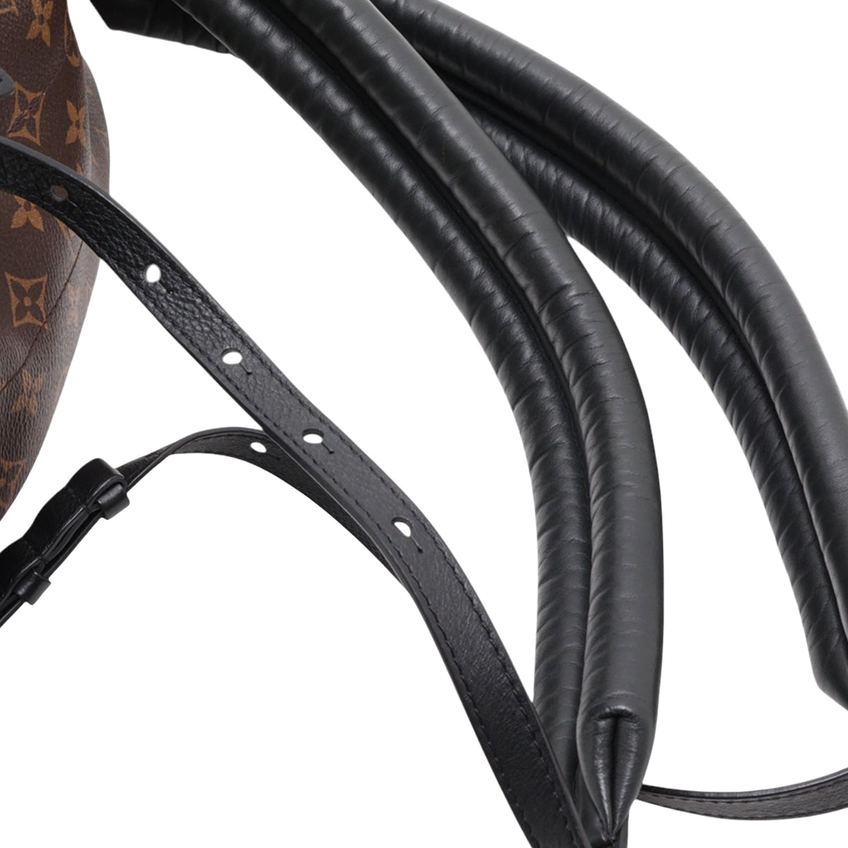 Louis Vuitton Monogram Palm Springs PM