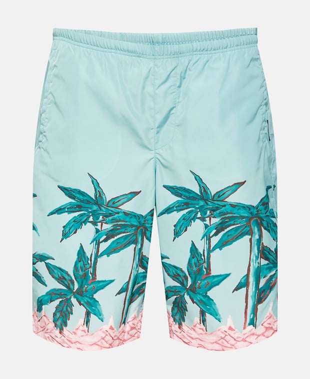 Swimming shorts