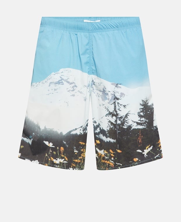 Swimming shorts