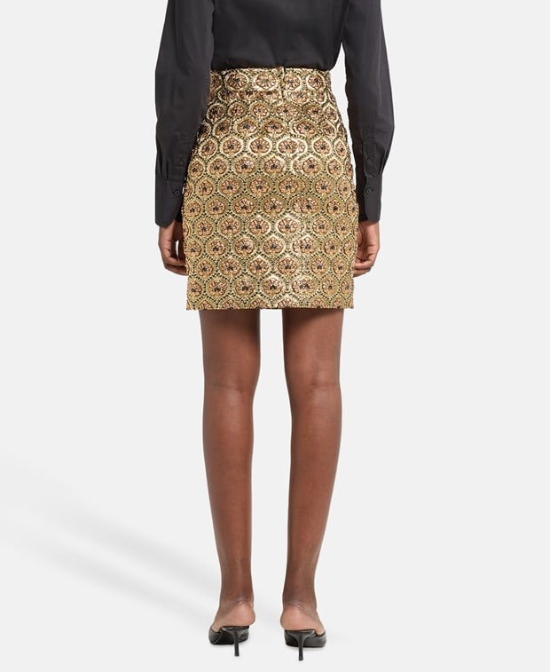 Dolce & Gabbana Miniskirt Transparent