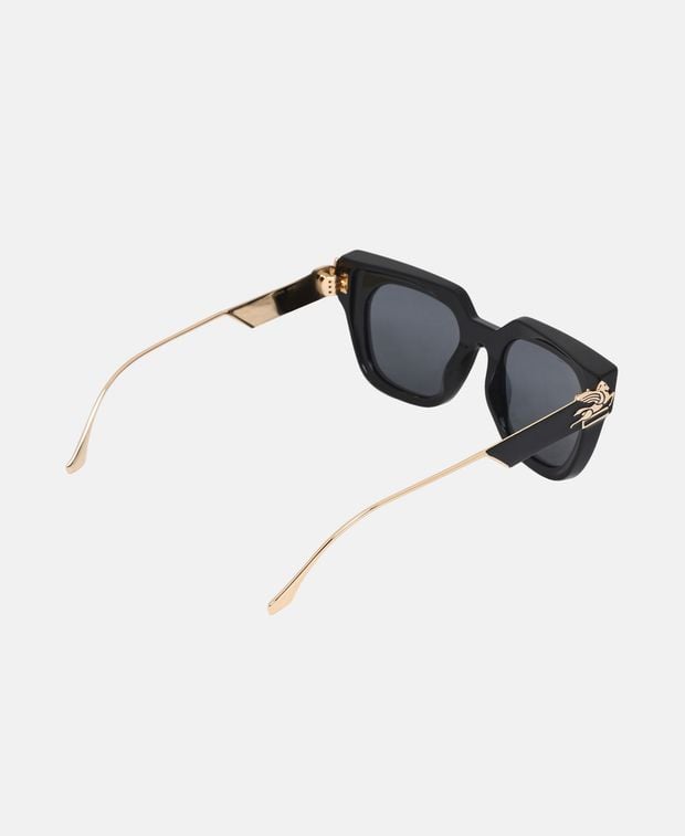 Etro Sunglasses