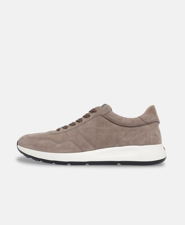 Tod's Sneakers