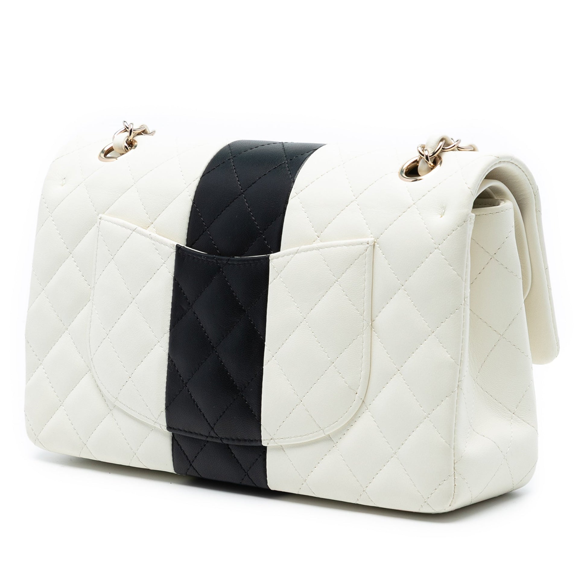 Chanel Medium Classic Bi Stripe Lambskin Double Flap