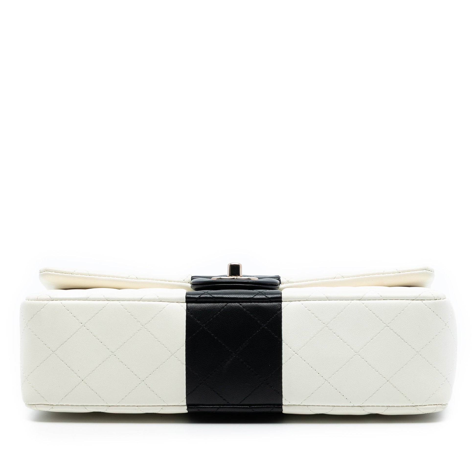 Chanel Medium Classic Bi Stripe Lambskin Double Flap