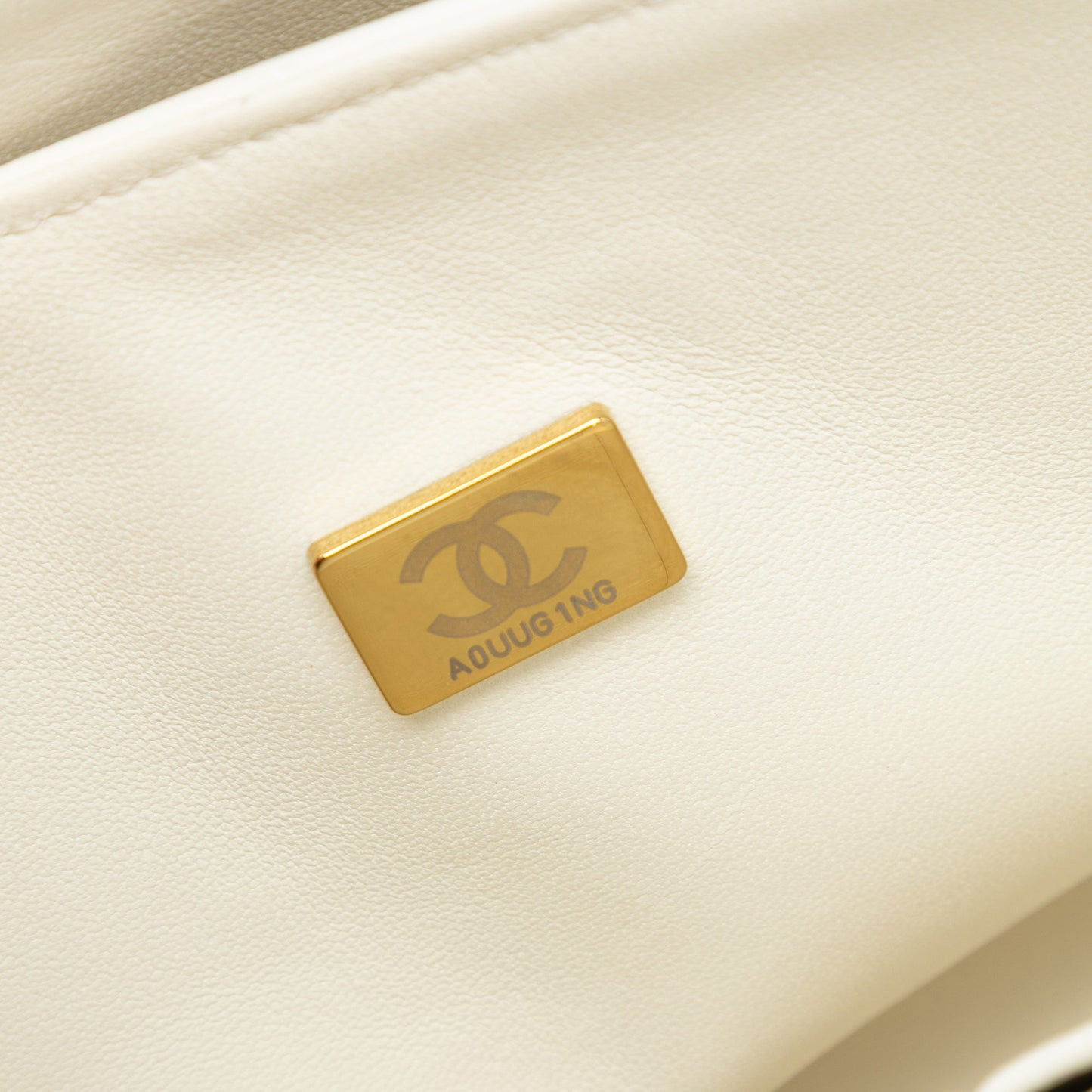 Chanel Medium Classic Bi Stripe Lambskin Double Flap
