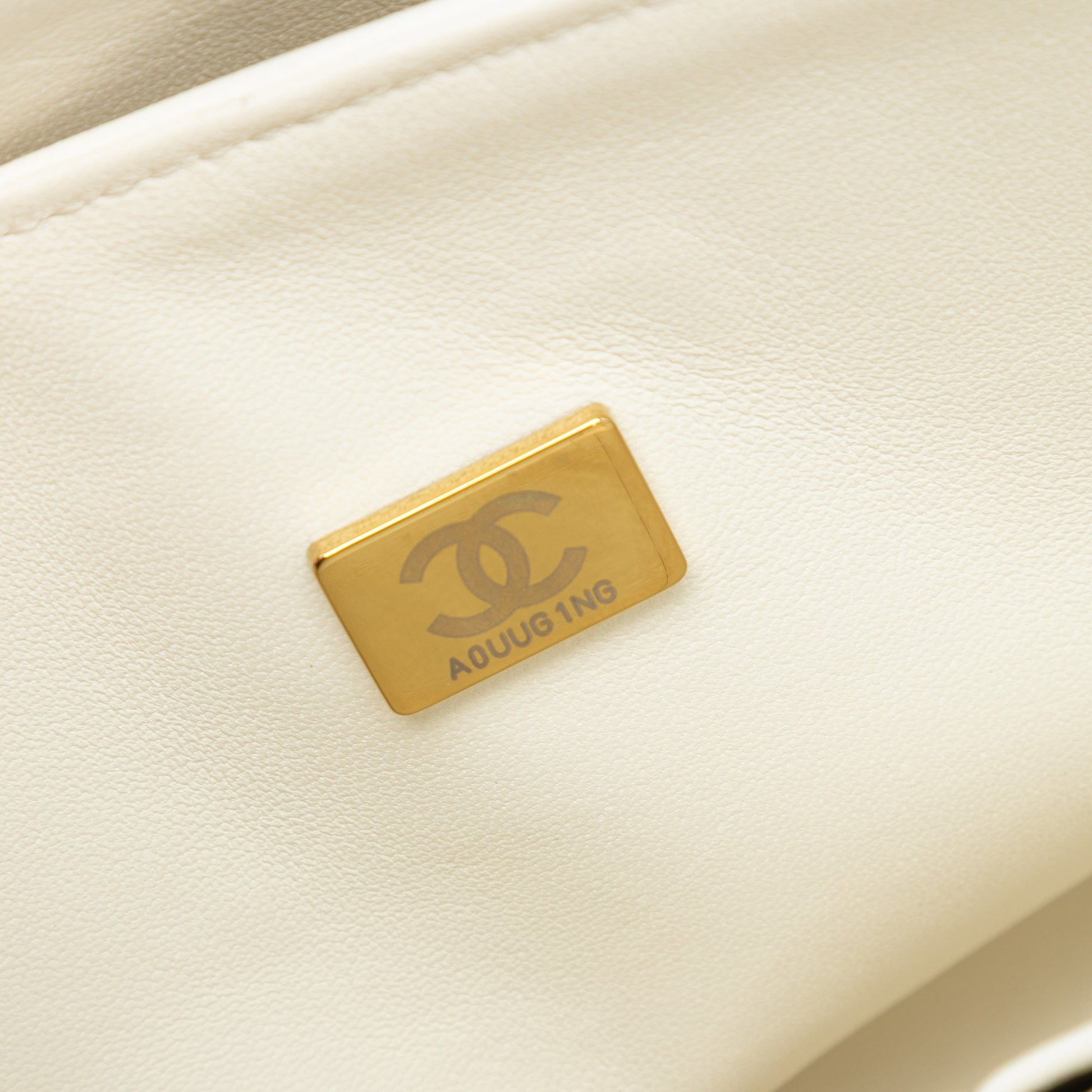 Chanel Medium Classic Bi Stripe Lambskin Double Flap