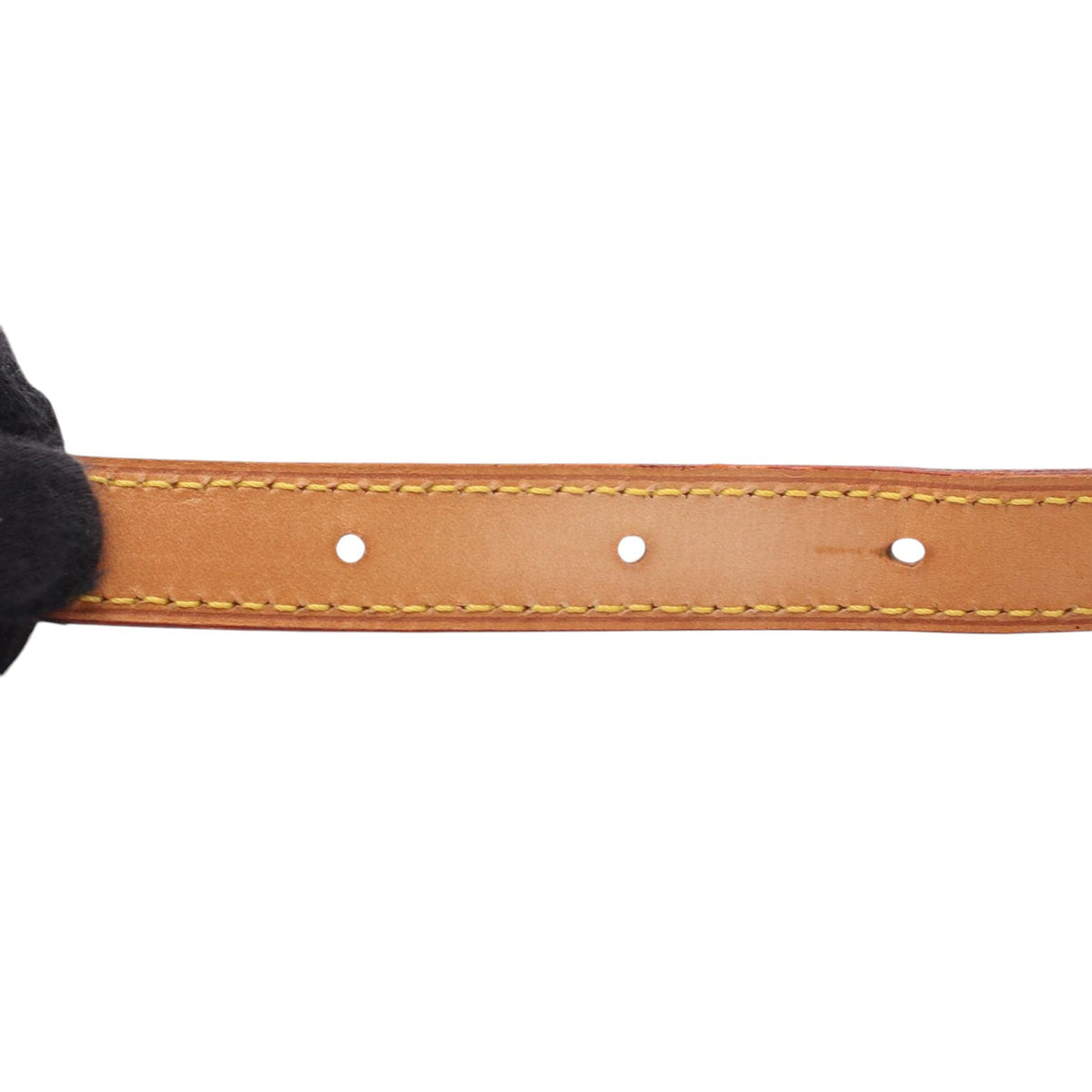 Louis Vuitton Monogram Musette Salsa PM Long Strap