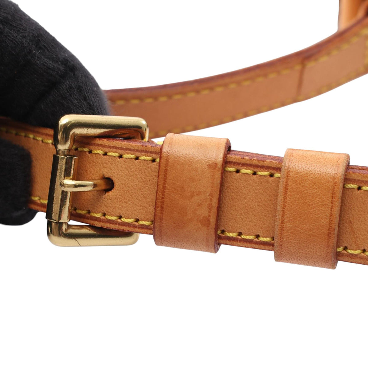 Louis Vuitton Monogram Musette Salsa PM Long Strap