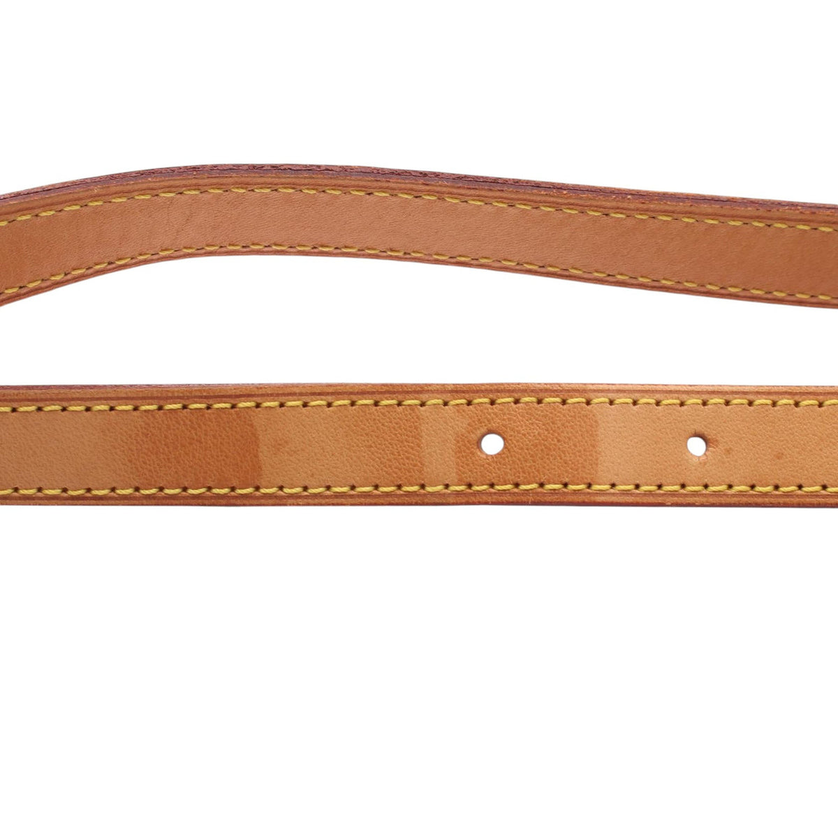 Louis Vuitton Monogram Musette Salsa PM Long Strap