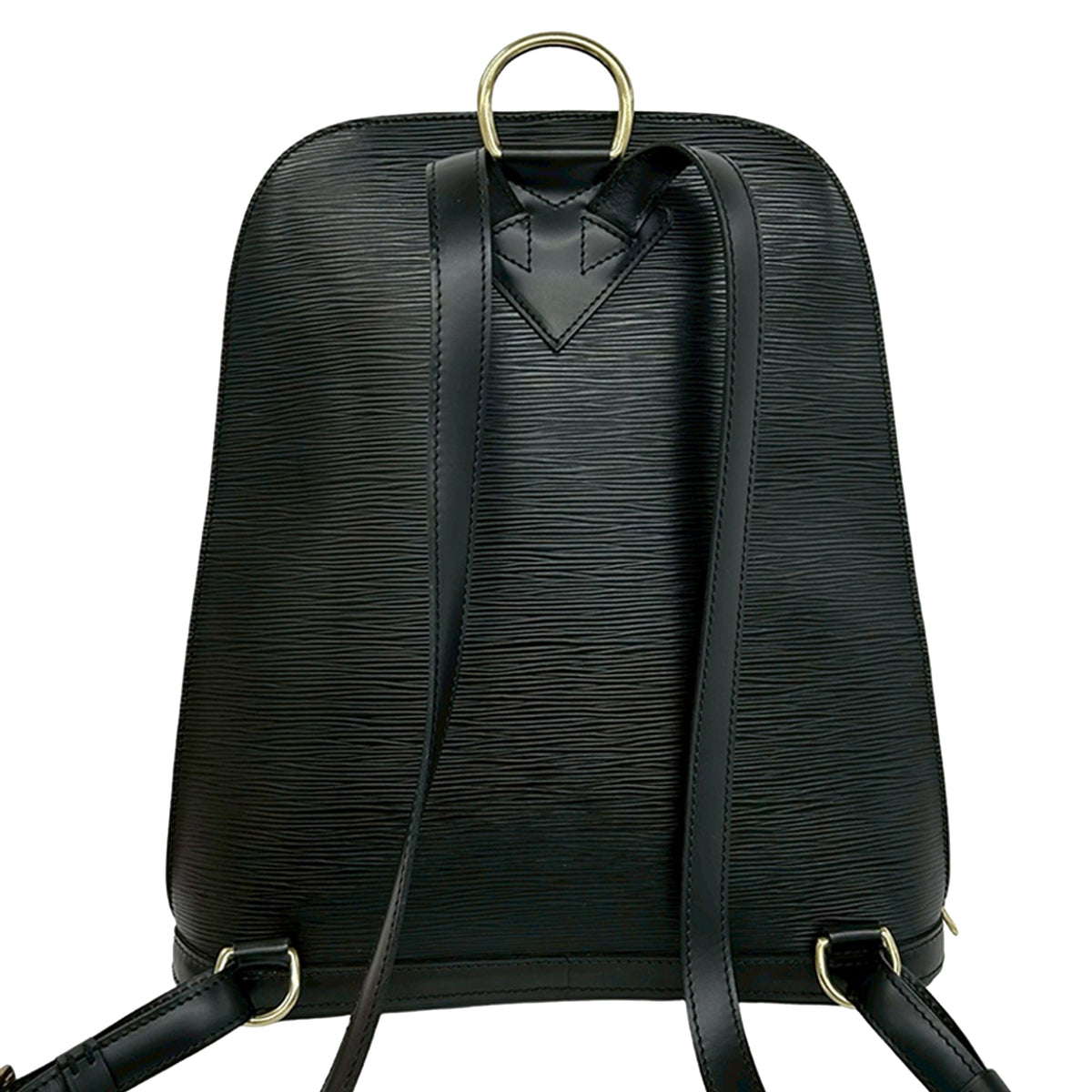 Louis Vuitton Epi Gobelins