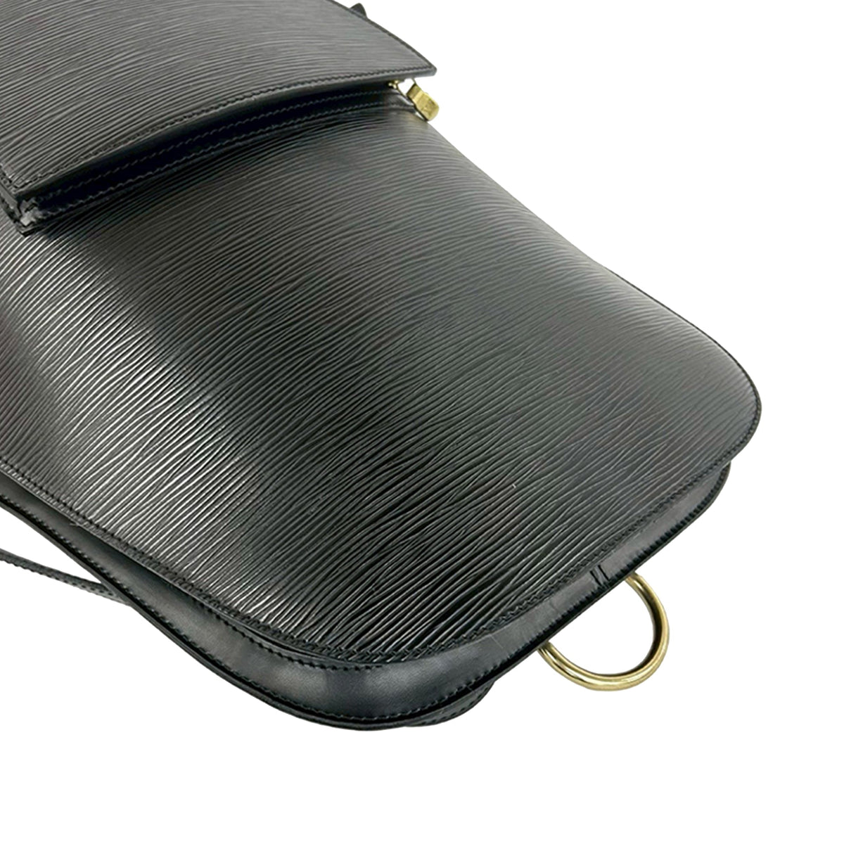 Louis Vuitton Epi Gobelins