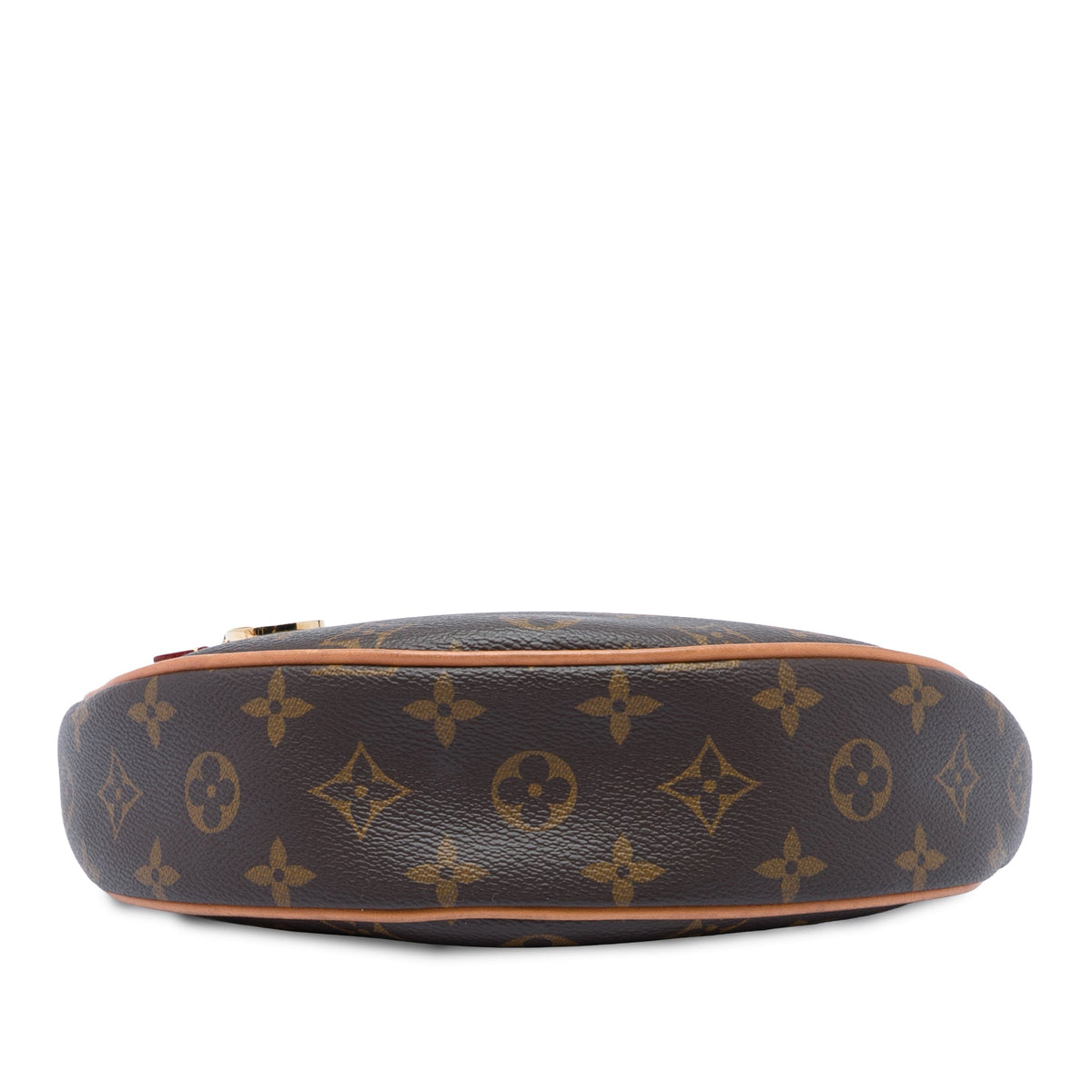 Louis Vuitton Monogram Loop