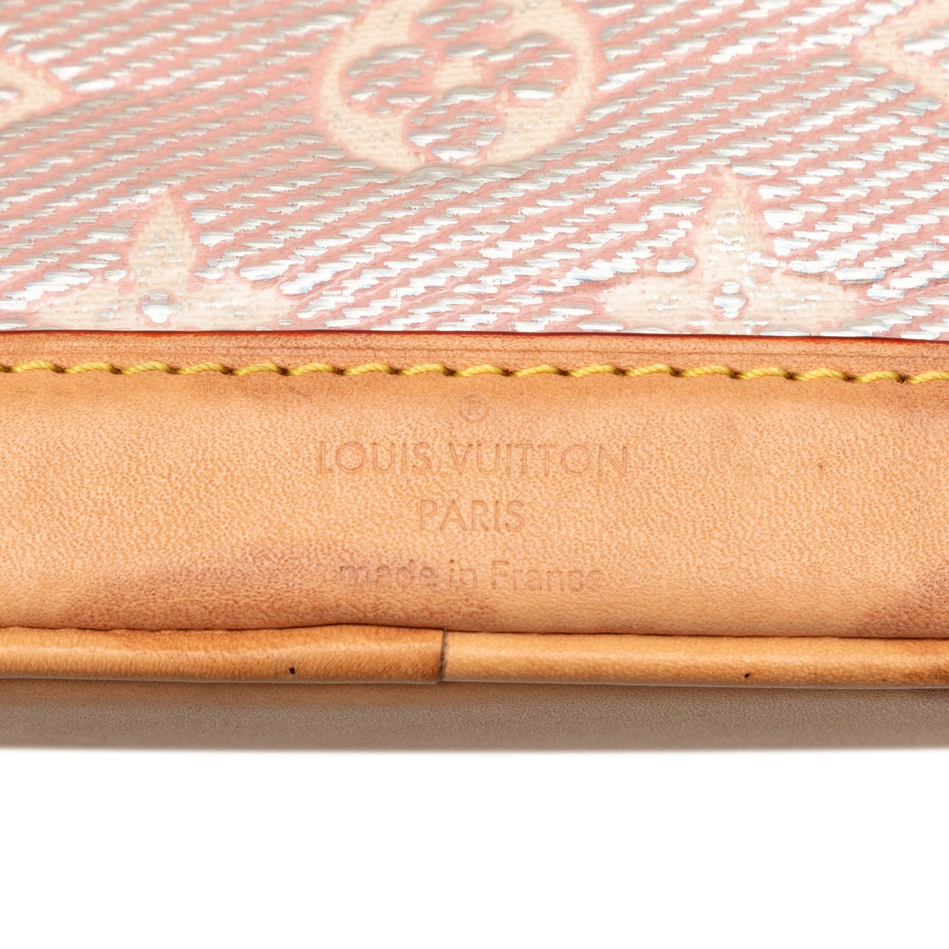 Louis Vuitton Monoglam Nano Noe