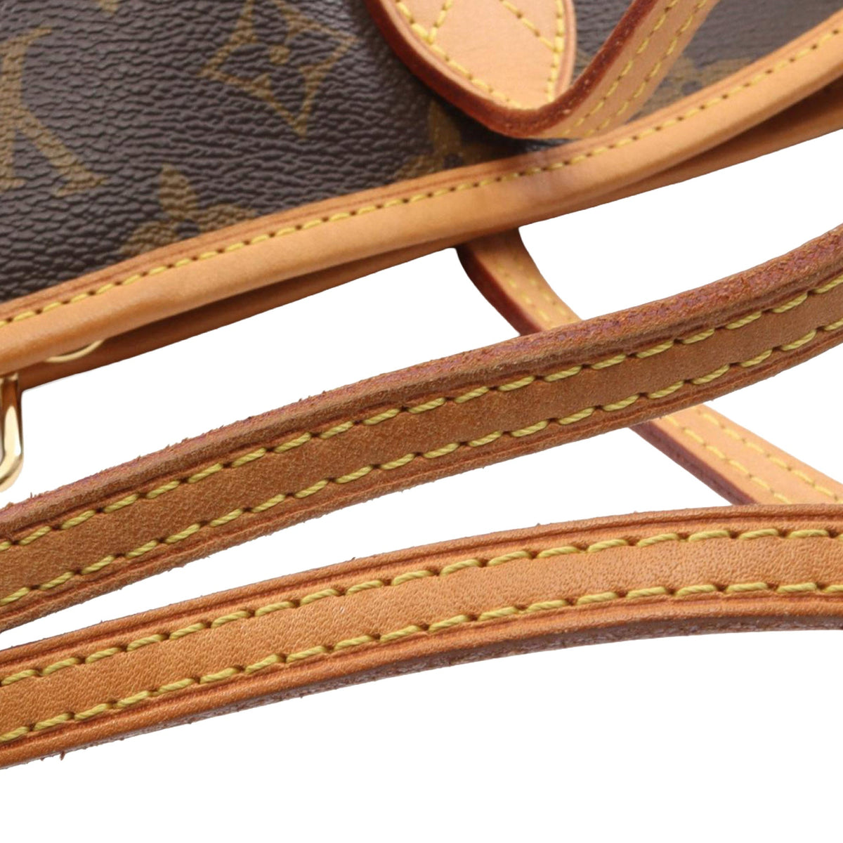 Louis Vuitton Monogram Neverfull PM