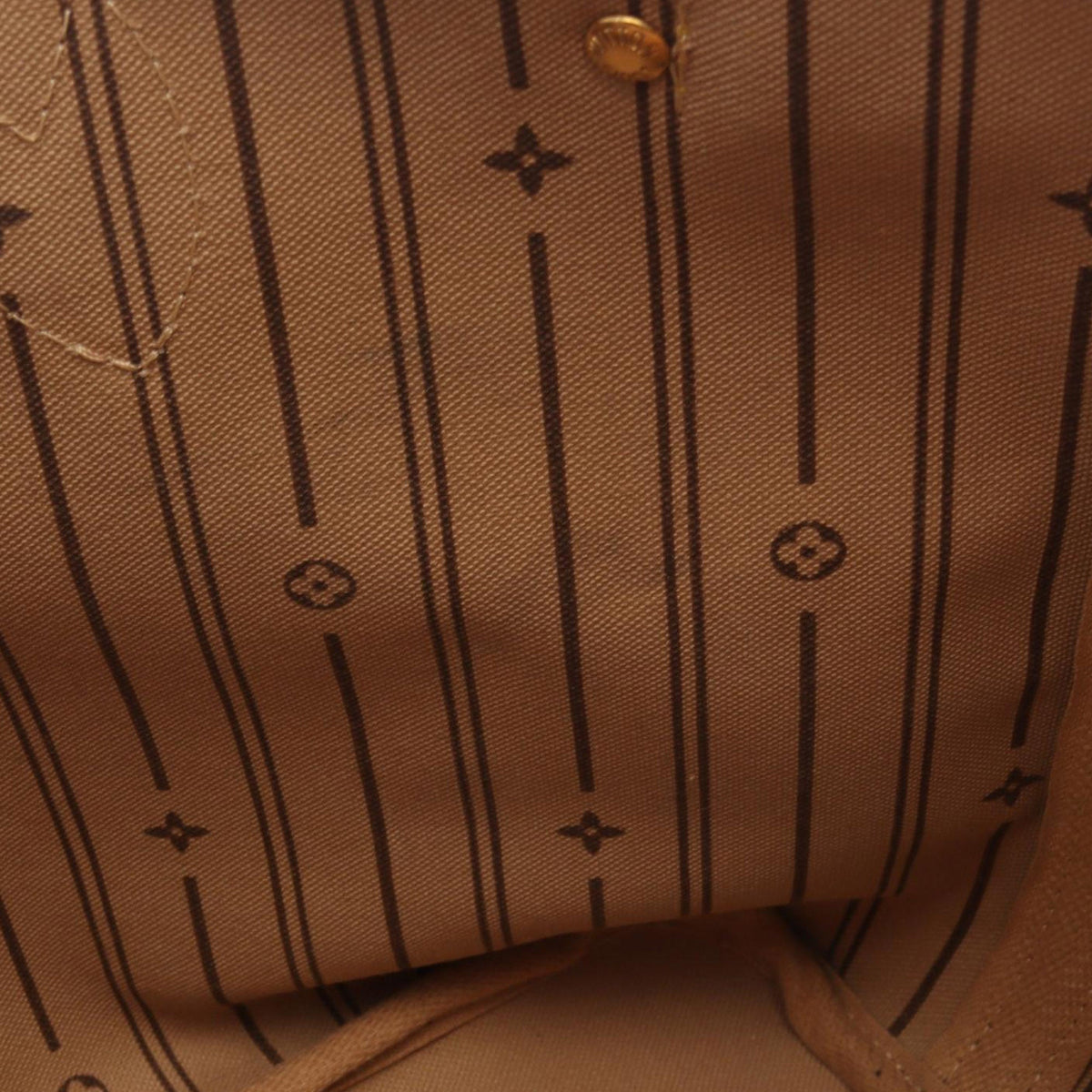 Louis Vuitton Monogram Neverfull PM