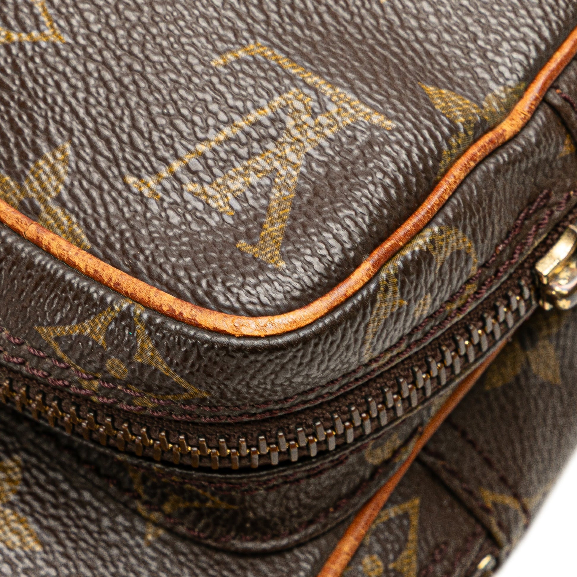 Louis Vuitton Monogram Mini Amazone