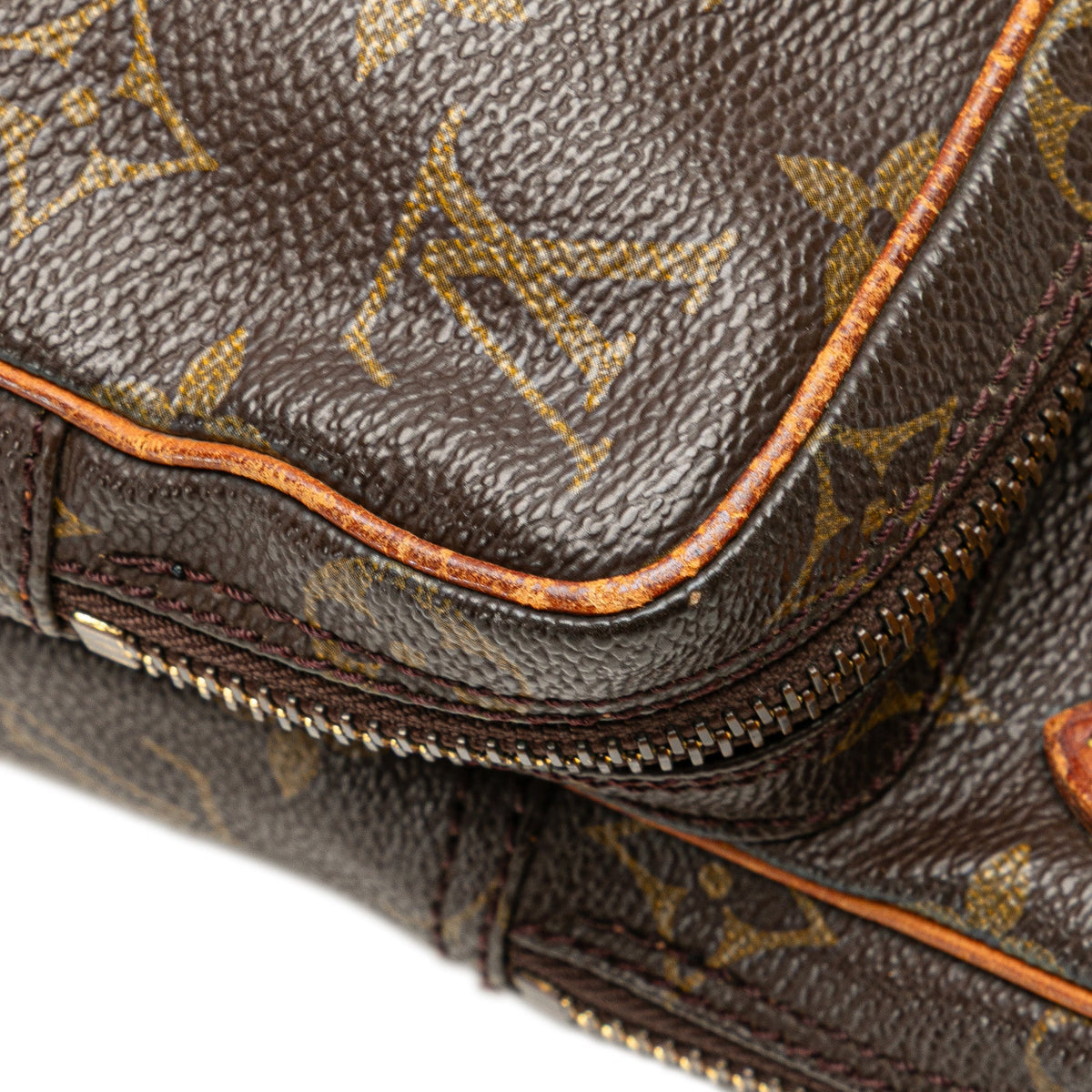 Louis Vuitton Monogram Mini Amazone