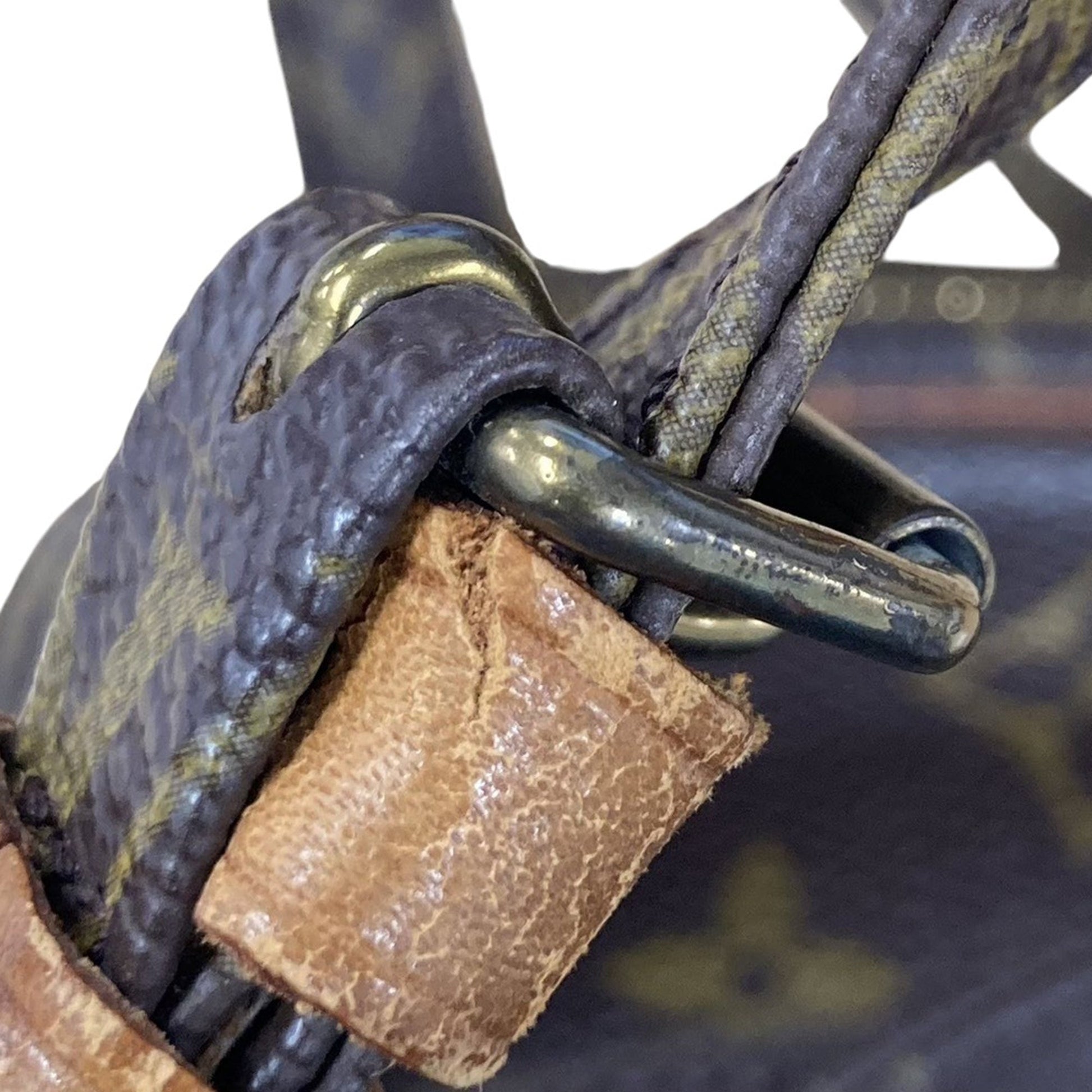 Louis Vuitton Monogram Mini Amazone