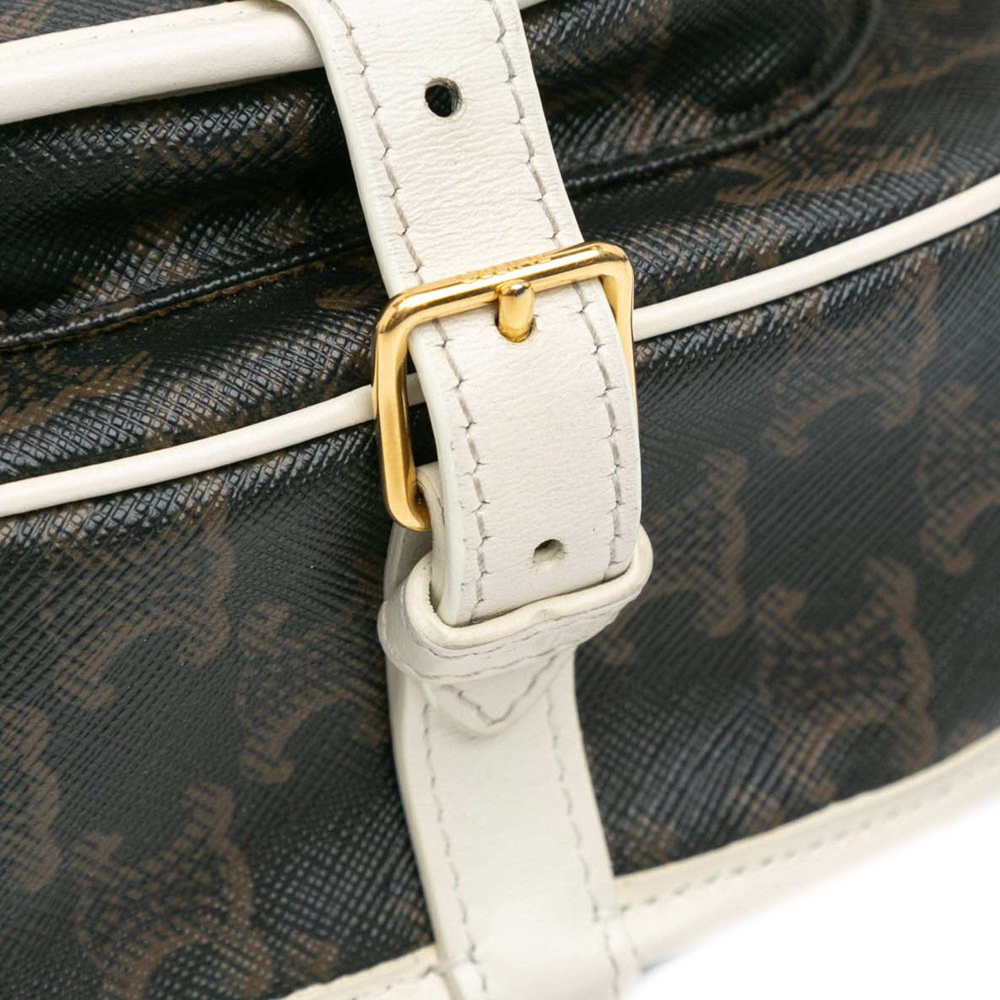 Celine Medium Triomphe Coated Canvas Folco Crossbody