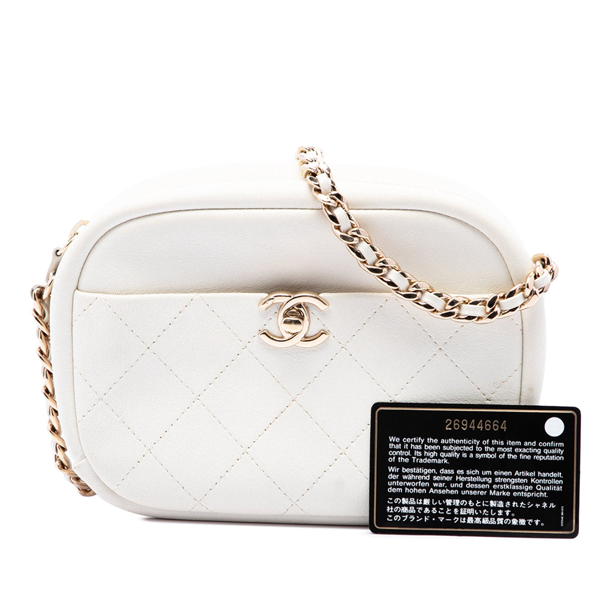 Chanel Small Quilted Goatskin Casual Trip Camera Bag — White