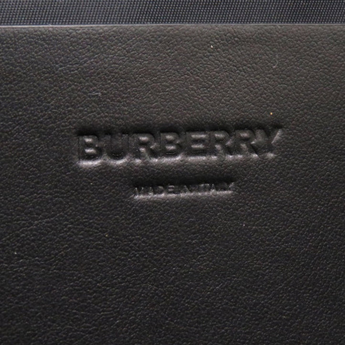 Logo Printed Nylon Belt Bag