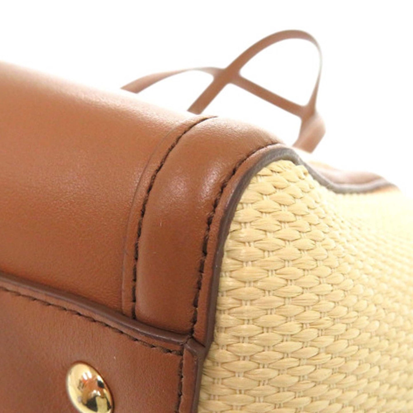 Medium Striped Canvas and Leather Amy Tote