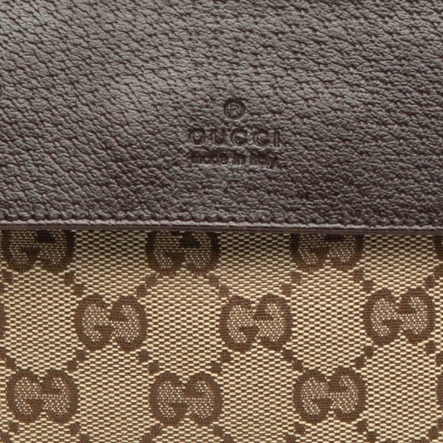 Gucci GG Canvas Web Double Pocket Belt Bag