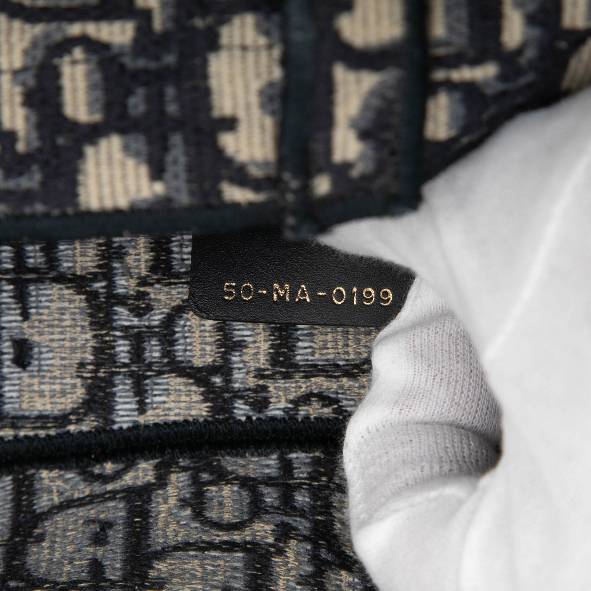 Oblique Embroidered Canvas Saddle Bag