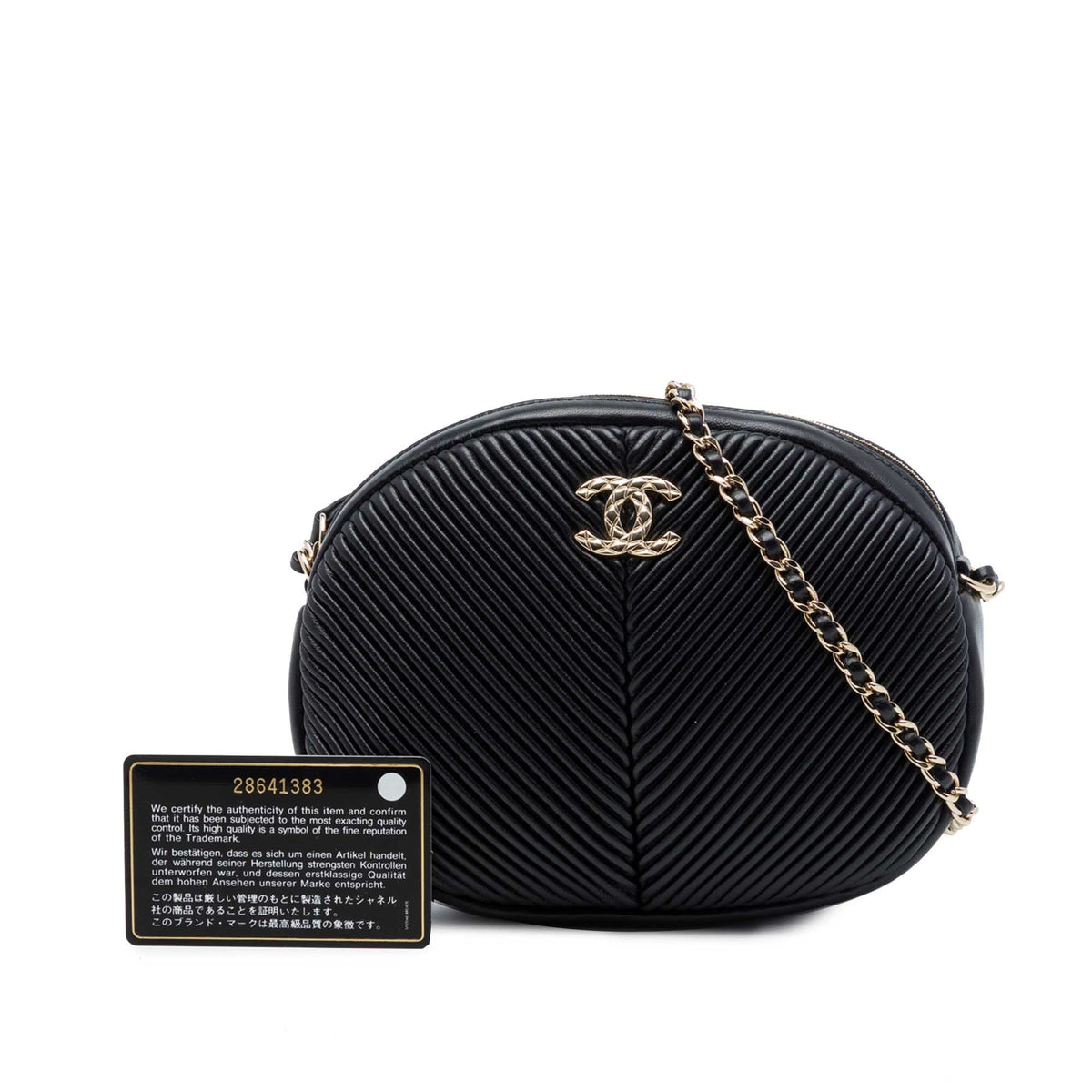 Chanel Chevron Lambskin Pleated Oval Camera Bag — Black