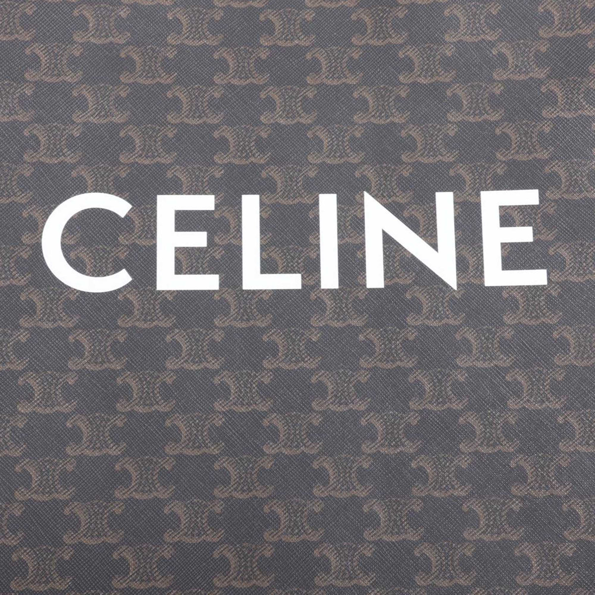 Celine Small Triomphe Coated Canvas Vertical Cabas Tote