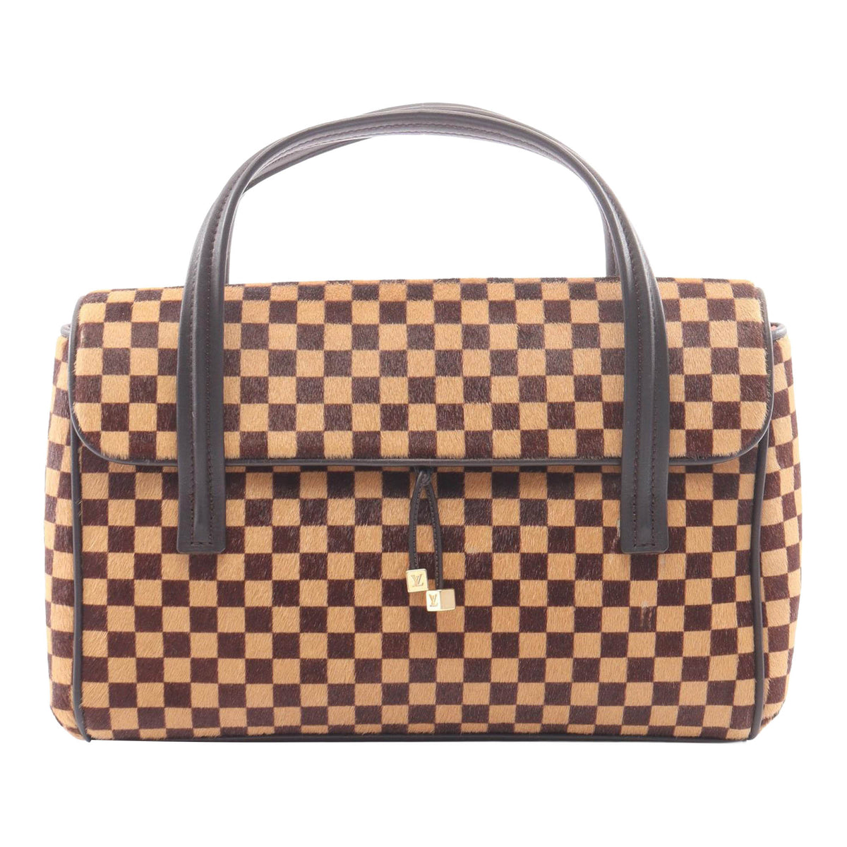 Louis Vuitton Damier Sauvage Lionne