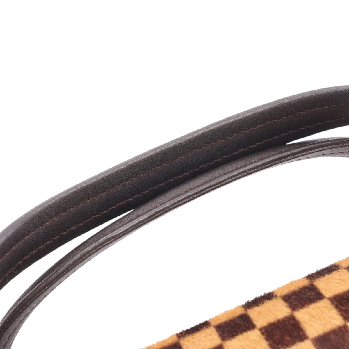 Louis Vuitton Damier Sauvage Lionne