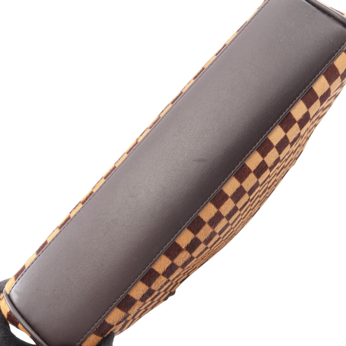Louis Vuitton Damier Sauvage Lionne