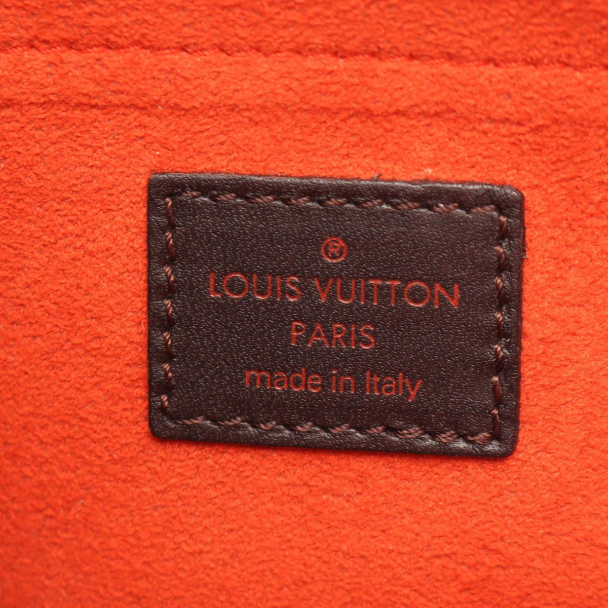 Louis Vuitton Damier Sauvage Lionne