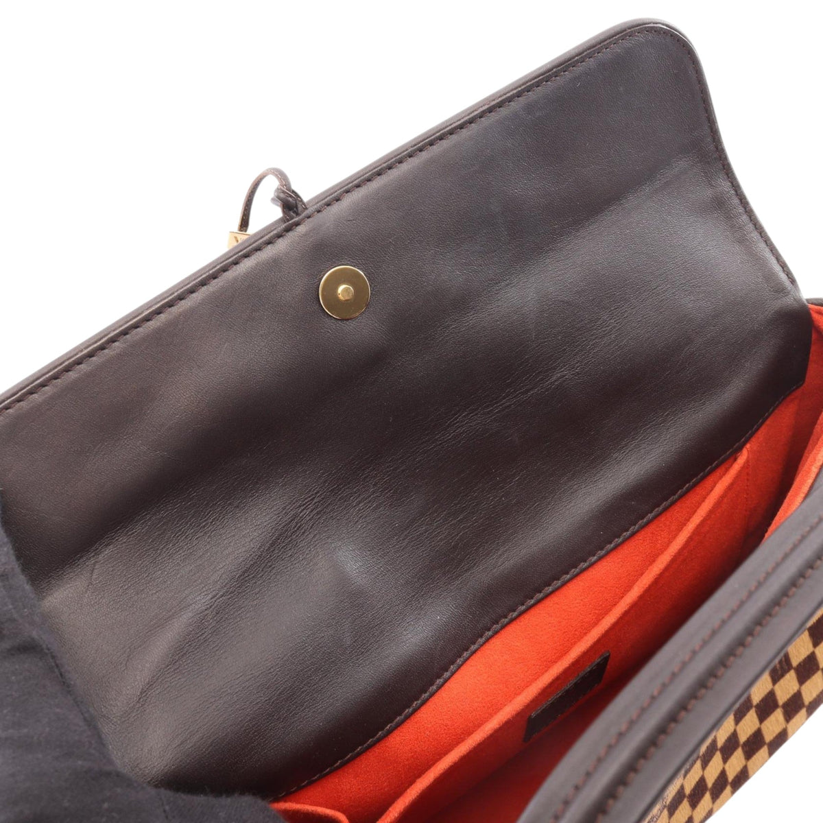 Louis Vuitton Damier Sauvage Lionne
