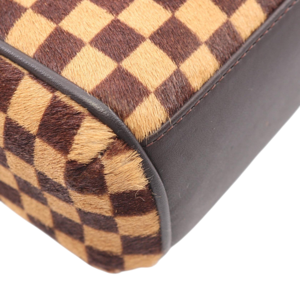 Louis Vuitton Damier Sauvage Lionne