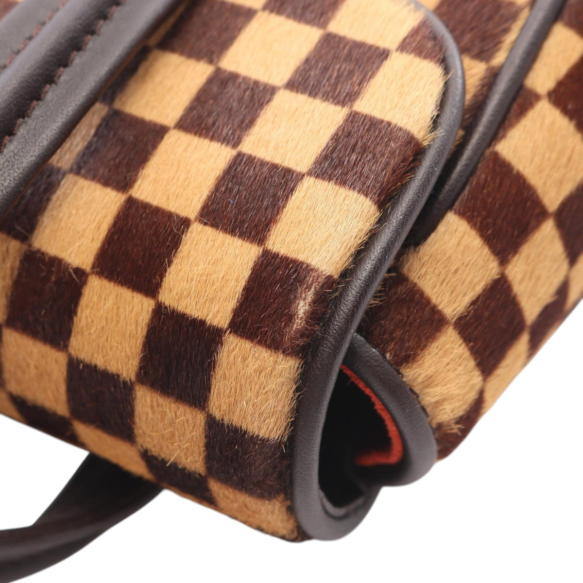 Louis Vuitton Damier Sauvage Lionne