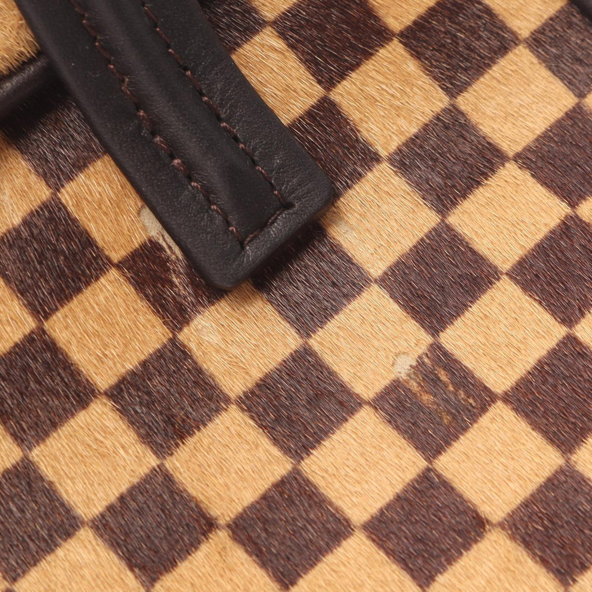 Louis Vuitton Damier Sauvage Lionne