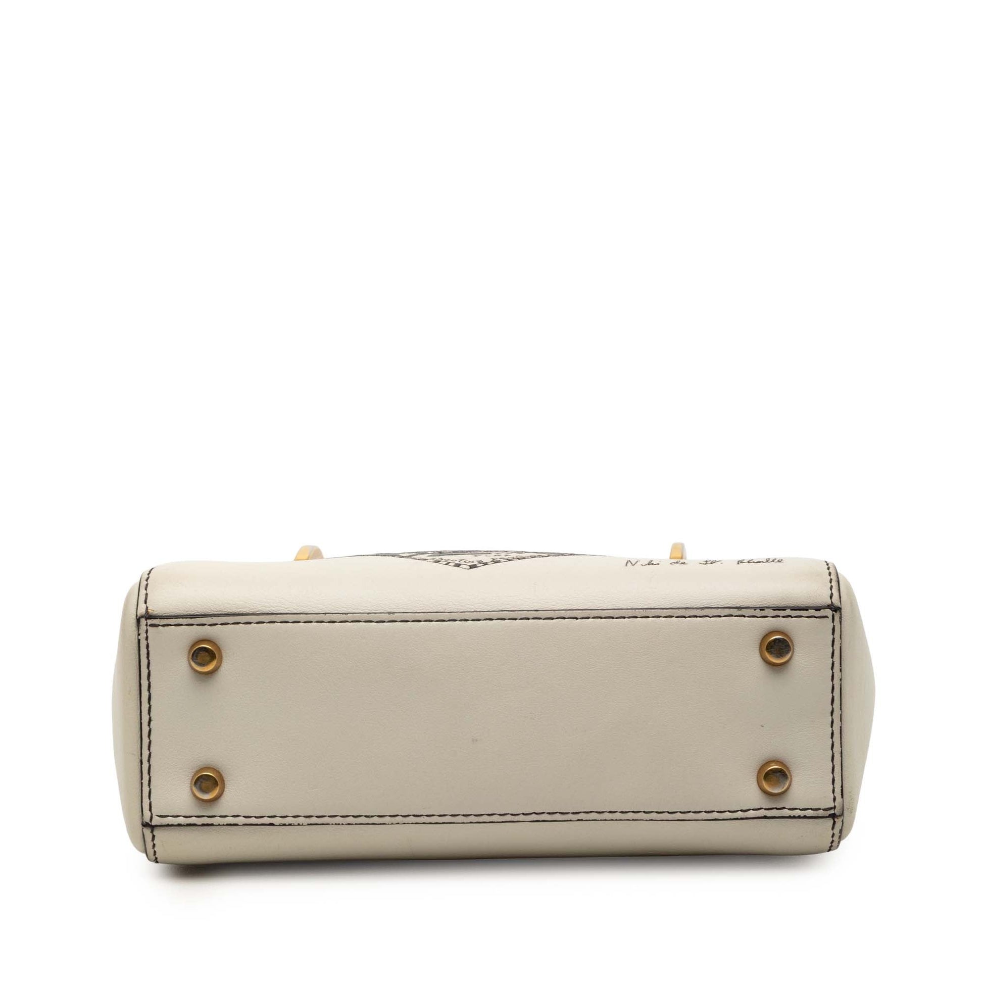 Dior DiorAmour Niki De Saint Phalle Mini Calfskin Lady Dior