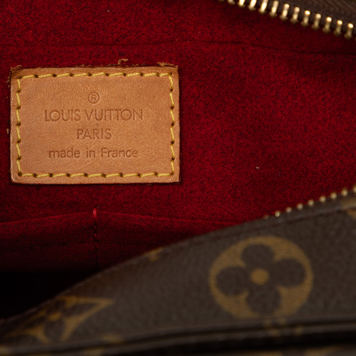 Louis Vuitton Monogram Viva Cite MM