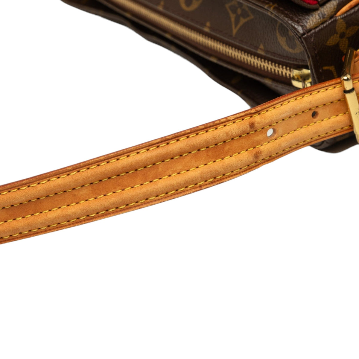 Louis Vuitton Monogram Viva Cite MM
