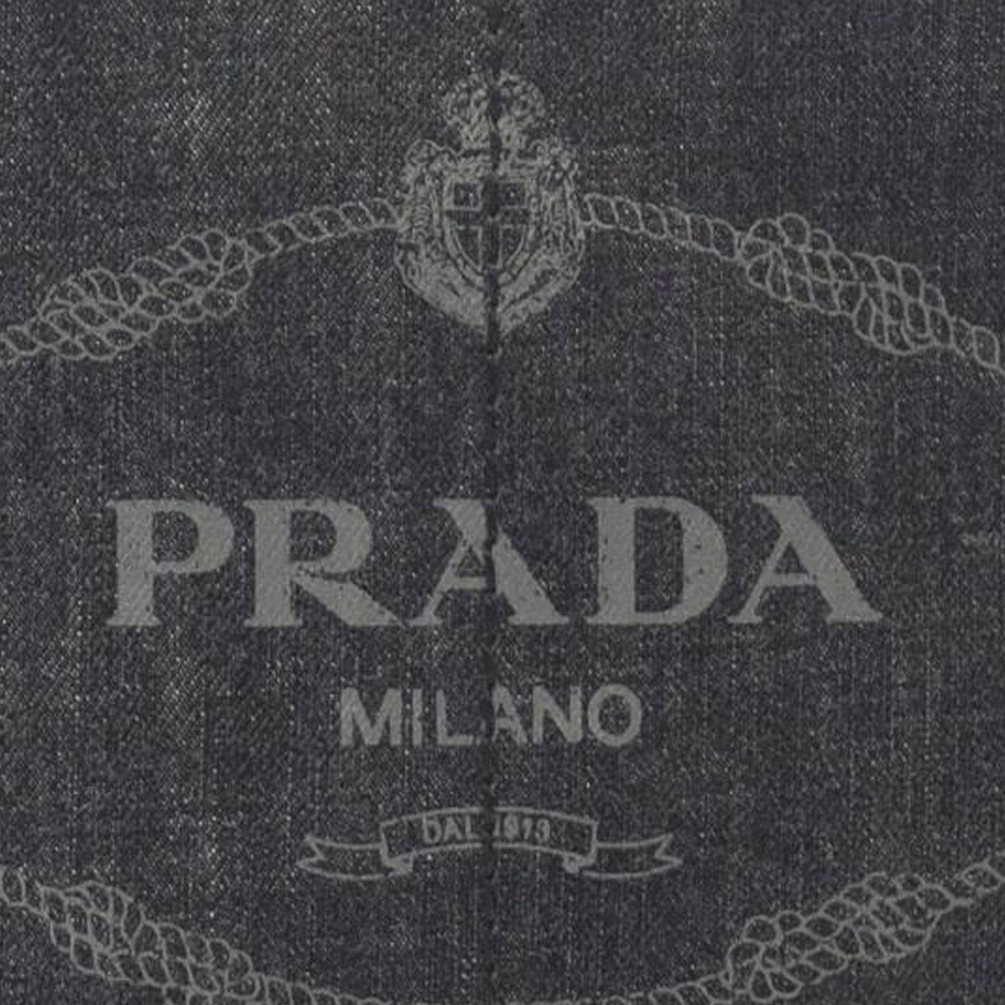 Prada Small Canvas Canapa Logo Satchel