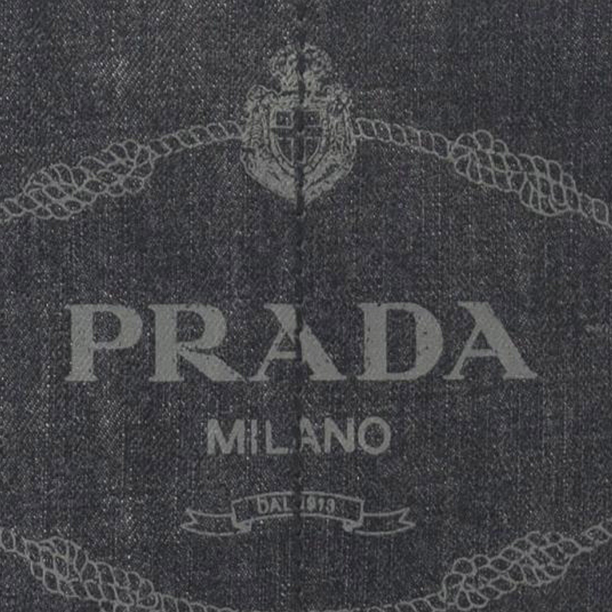 Prada Small Canvas Canapa Logo Satchel
