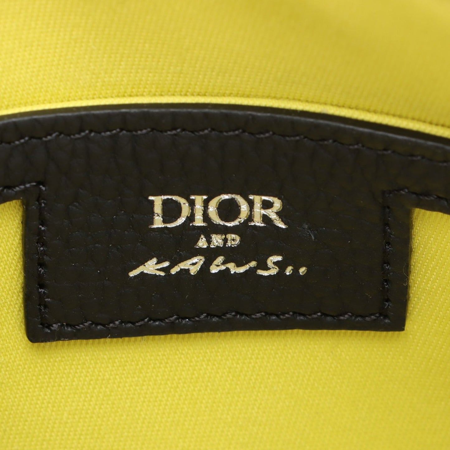 Dior KAWS Leather Rider 2.0 Crossbody