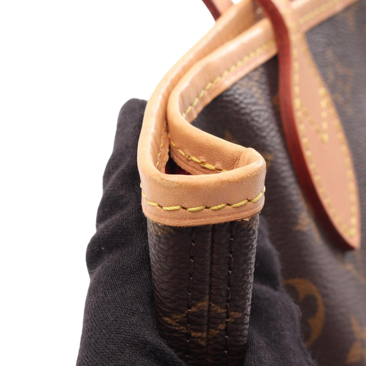 Louis Vuitton Monogram Neverfull PM