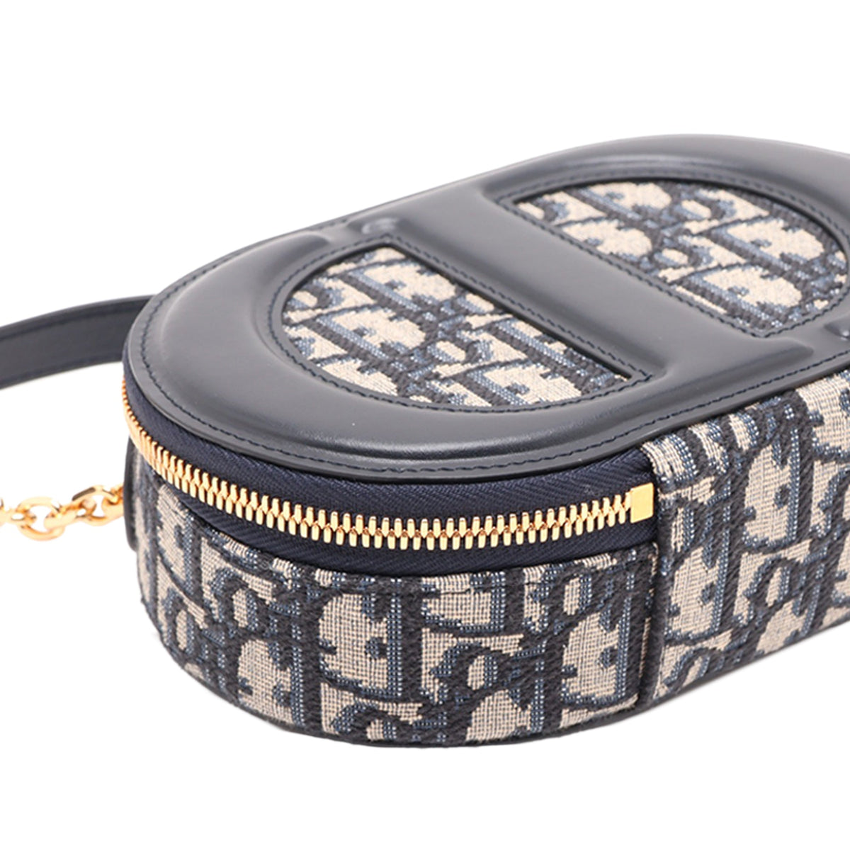 Dior Oblique Canvas CD Oval Satchel