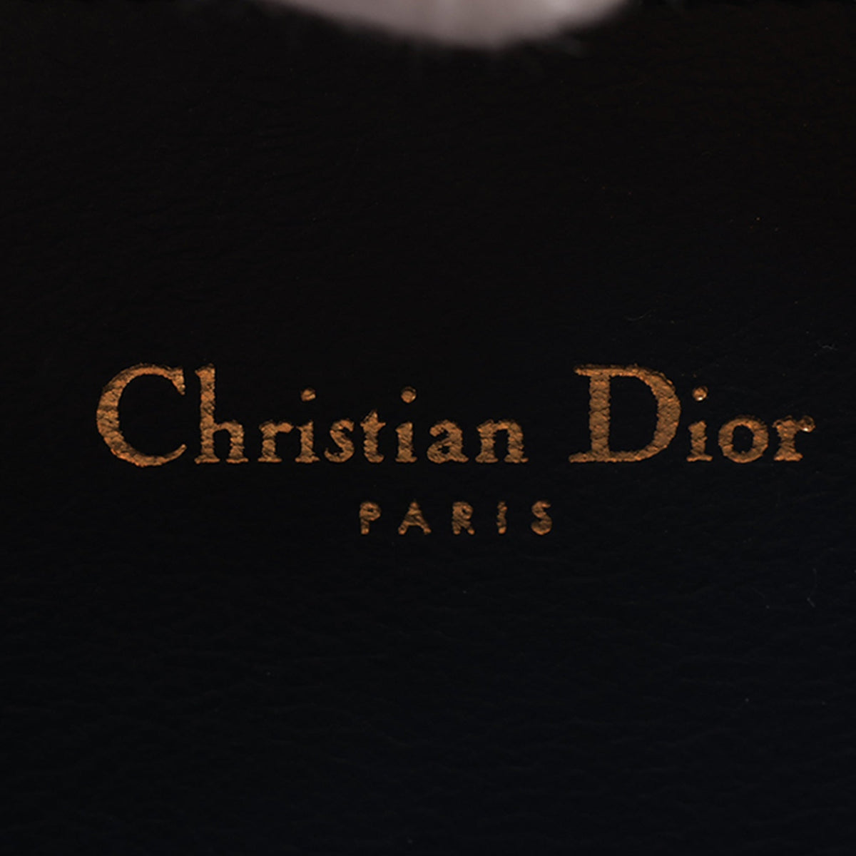 Dior Oblique Canvas CD Oval Satchel
