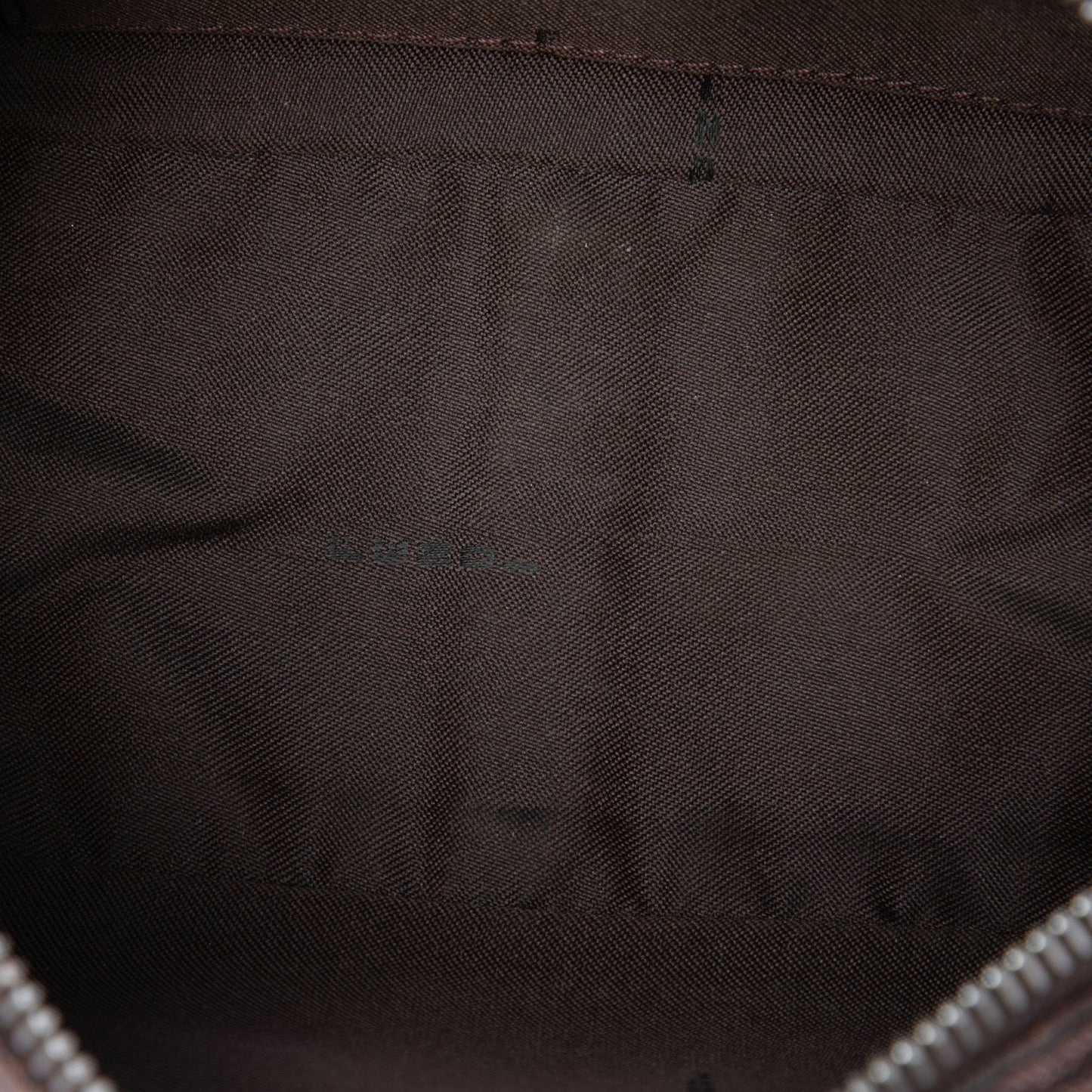 Fendi Zebra Print Canvas Pochette