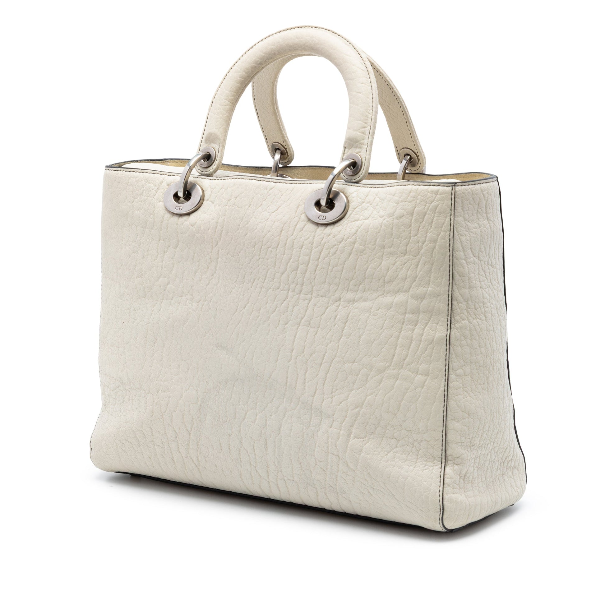 Dior Large Canyon Grained Lambskin Lady Dior